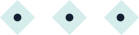 border_logo-2